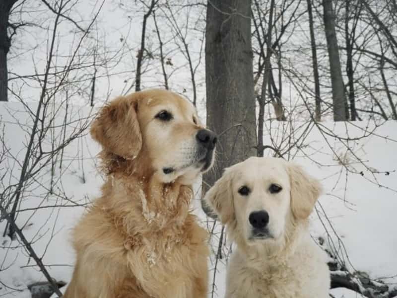 Kristen & Linda from Burlington Beach, Ontario, Canada