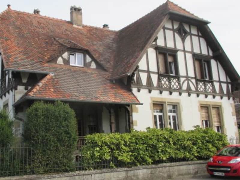 Housesitting assignment in Strasbourg, France