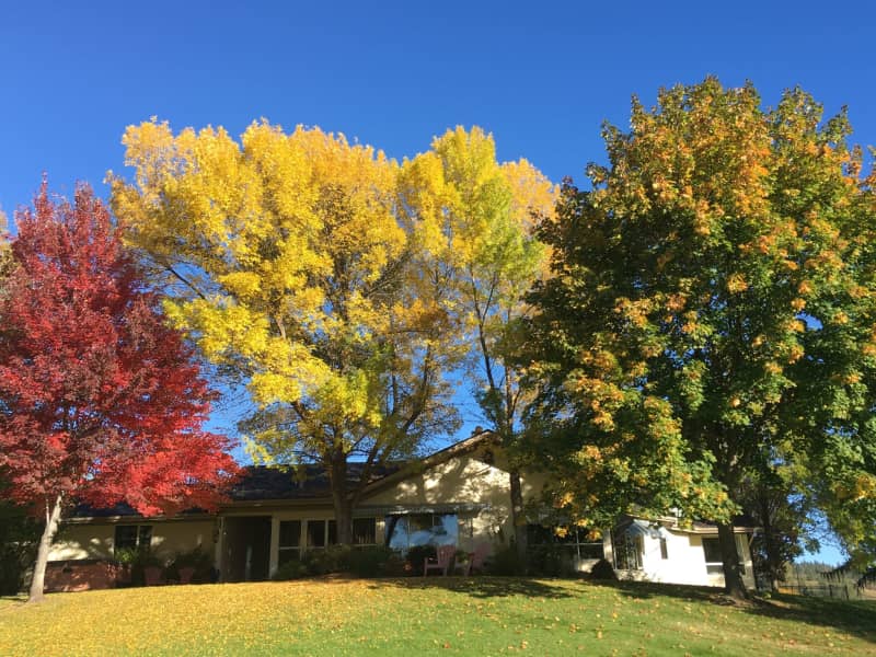 Housesitting assignment in Kamloops, British Columbia, Canada