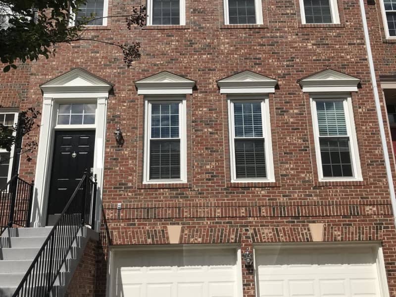 Housesitting assignment in Alexandria, Virginia, United States
