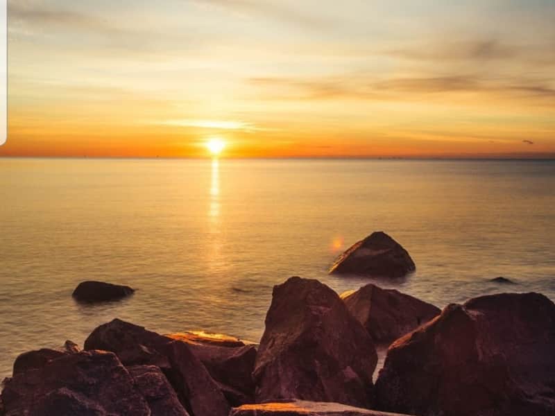 Housesitting assignment in East Haven, Connecticut, United States