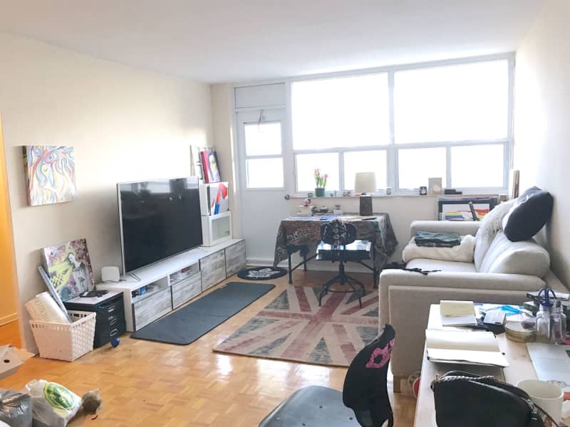 Housesitting assignment in Toronto, Ontario, Canada