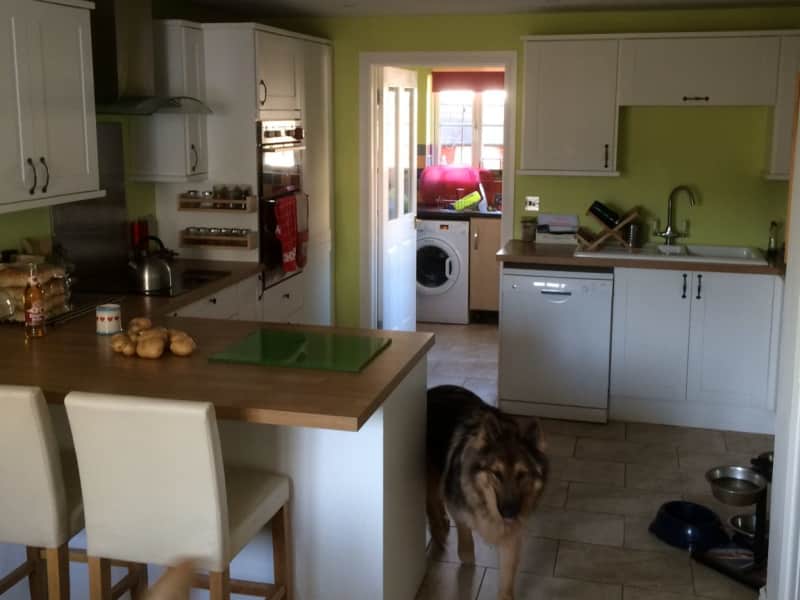 Housesitting assignment in Swindon, United Kingdom