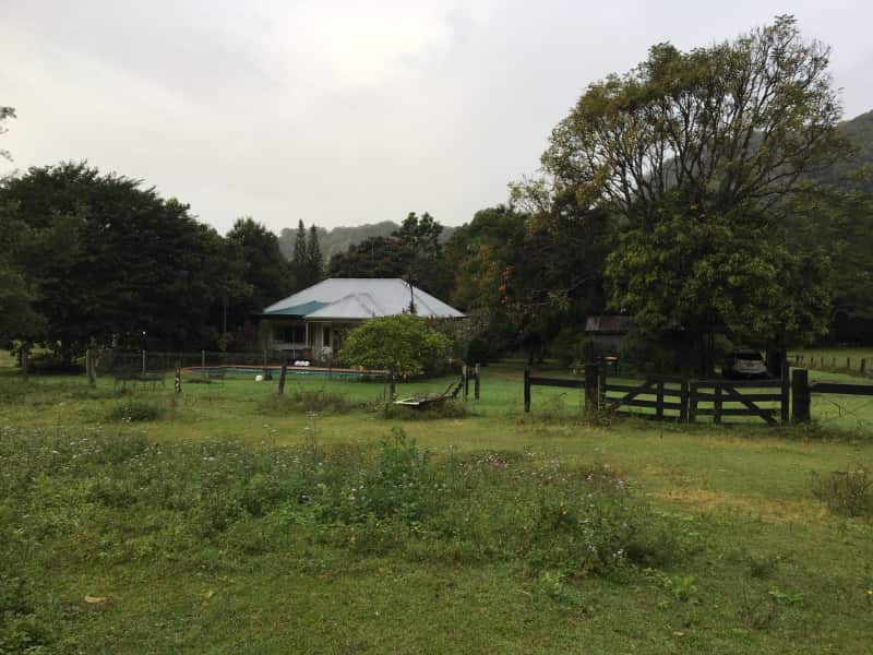 Housesitting assignment in The Pocket, New South Wales, Australia