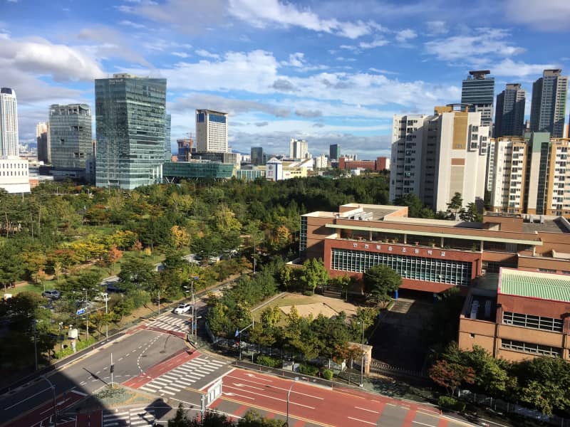 Housesitting assignment in Incheon, South Korea