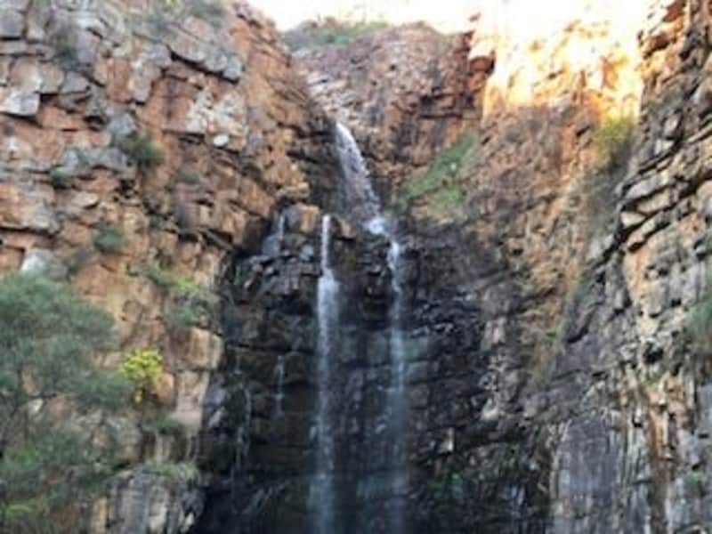 Housesitting assignment in Payneham South, South Australia, Australia