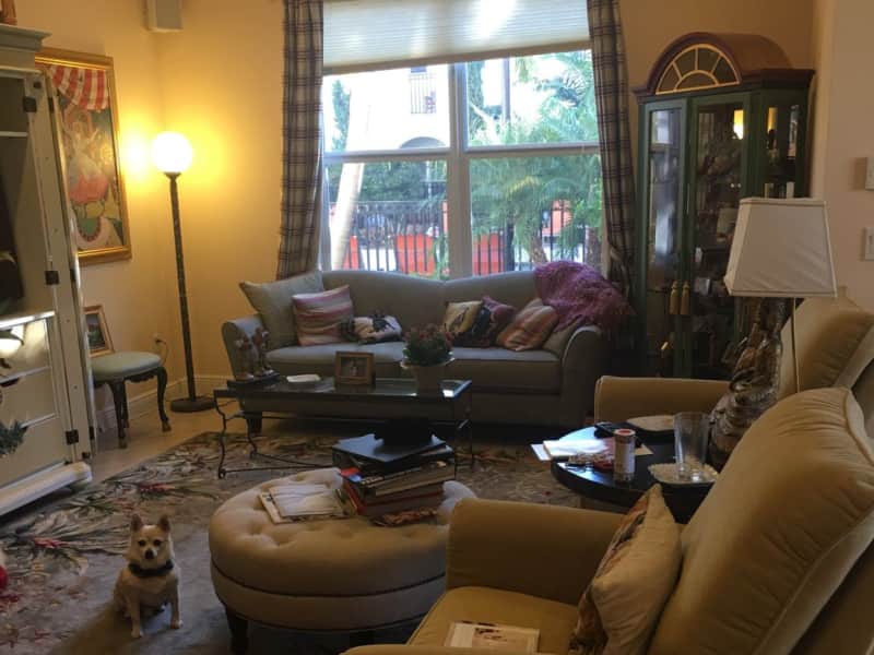 Housesitting assignment in West Palm Beach, Florida, United States
