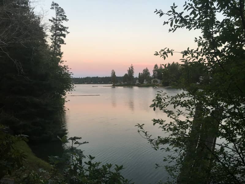 Housesitting assignment in Olympia, Washington, United States