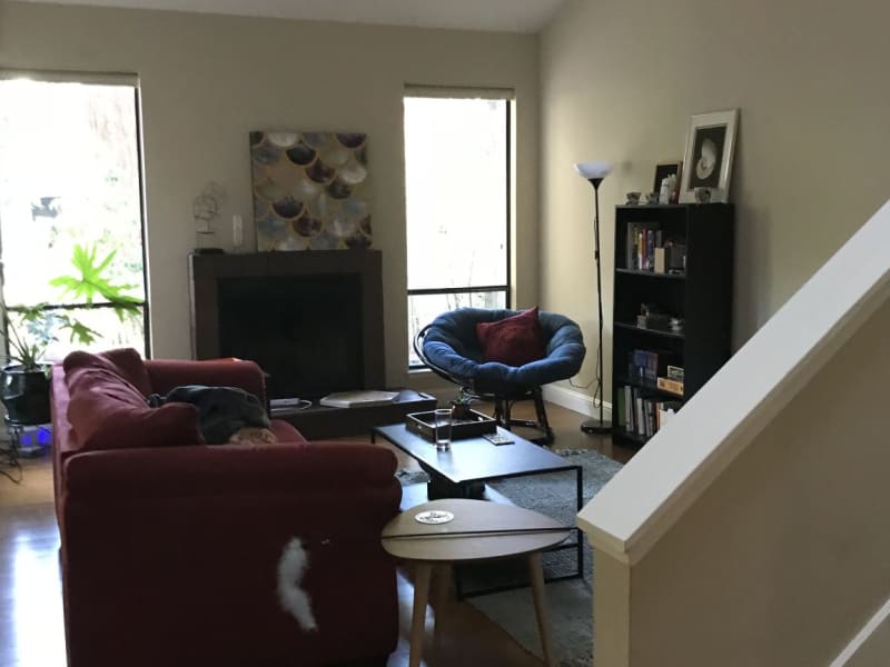Housesitting assignment in Mountain View, California, United States