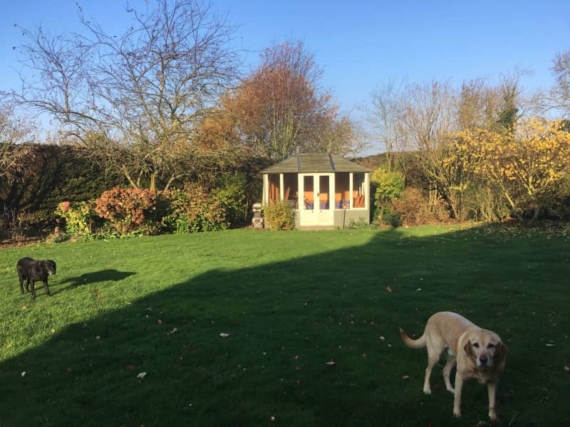 Housesitting assignment in North Wootton, United Kingdom