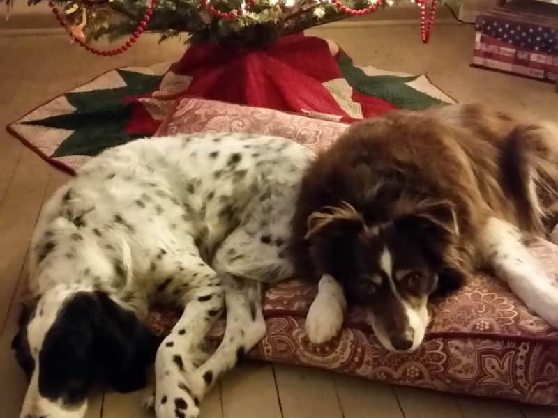 Julia from Des Moines, Iowa, United States