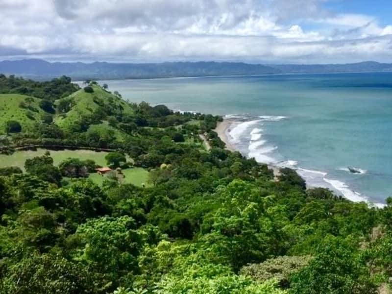 Housesitting assignment in Búcaro, Panama