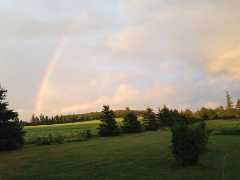 Housesitting assignment in Emerald Junction, Prince Edward Island, Canada