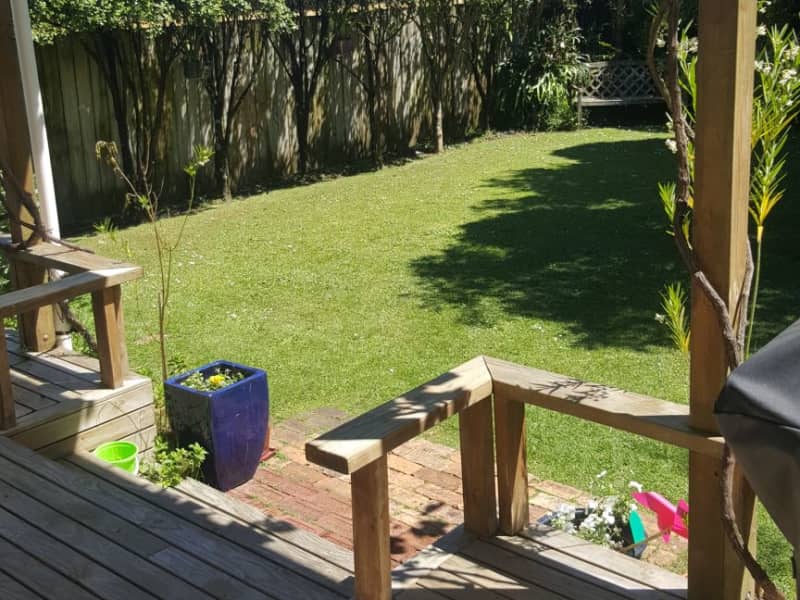 Housesitting assignment in Auckland, New Zealand