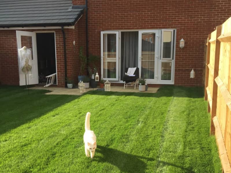 Housesitting assignment in Littlehampton, United Kingdom