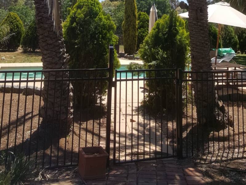 Housesitting assignment in Echuca, Victoria, Australia