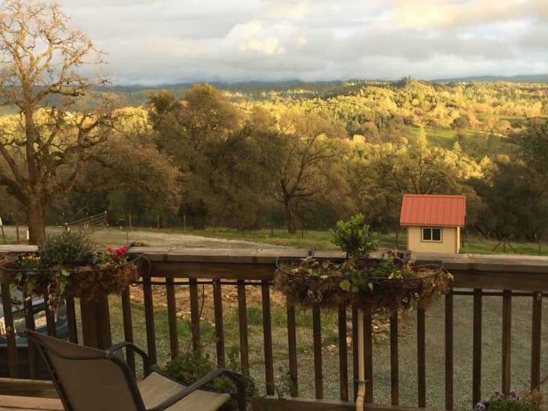 Housesitting assignment in Fiddletown, California, United States