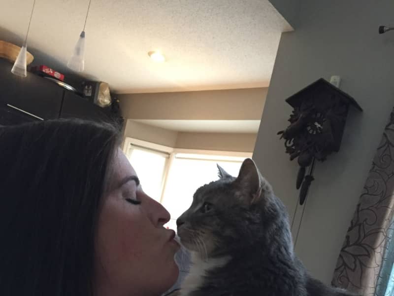 Housesitting assignment in St. Albert, Alberta, Canada