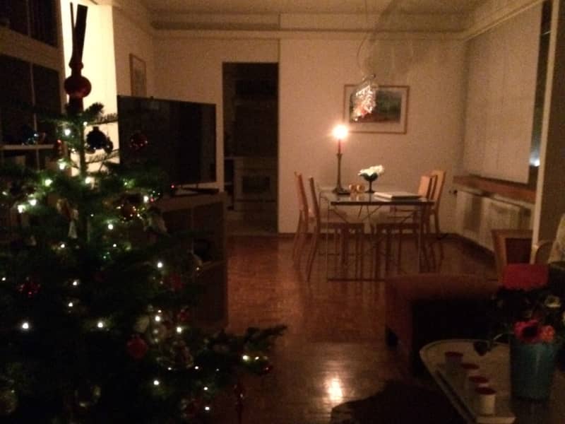 Housesitting assignment in Zürich, Switzerland