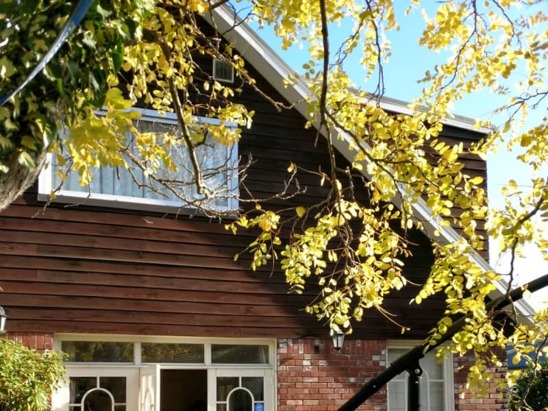 Housesitting assignment in Christchurch, New Zealand