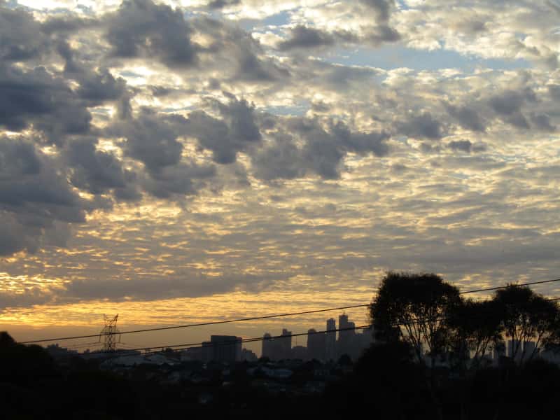 Housesitting assignment in Maribyrnong, Victoria, Australia