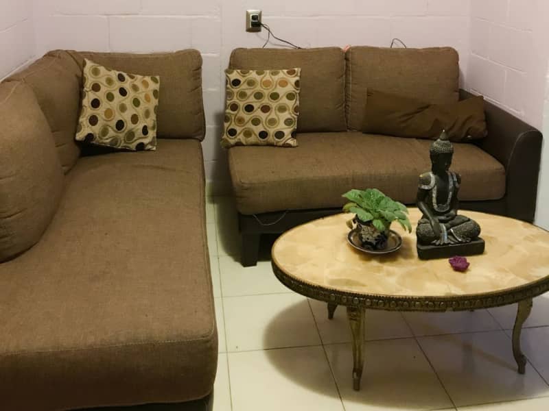 Housesitting assignment in Mexico City, Mexico