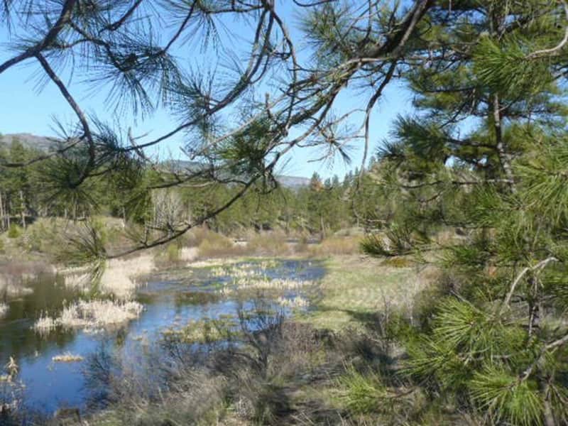 Housesitting assignment in Oliver, British Columbia, Canada