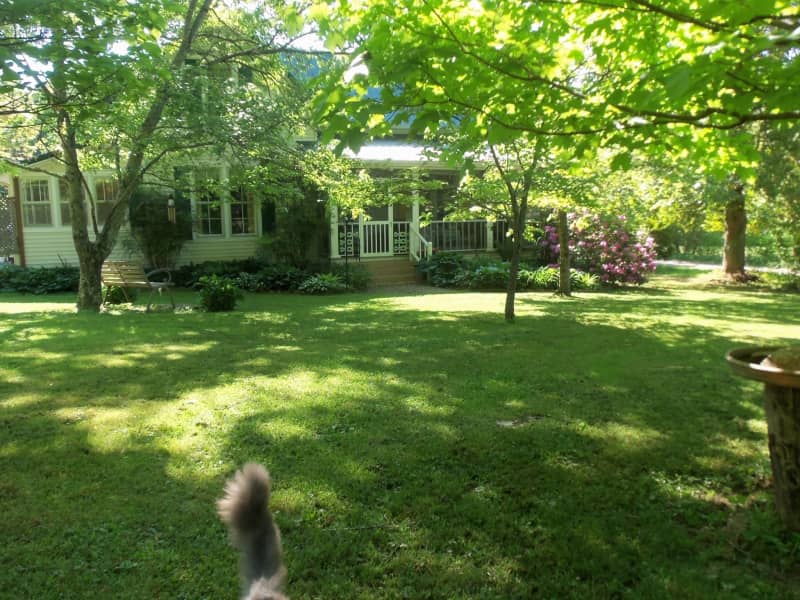 Housesitting assignment in McMinnville, Tennessee, United States