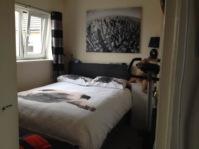 Housesitting assignment in Shipley, United Kingdom
