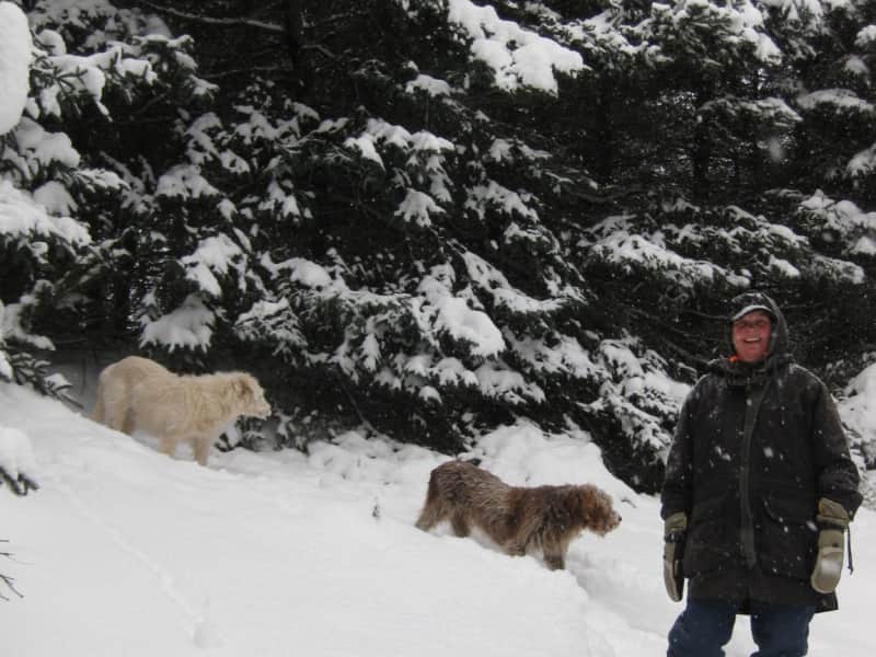 Aj & Don from Prescott, Arizona, United States