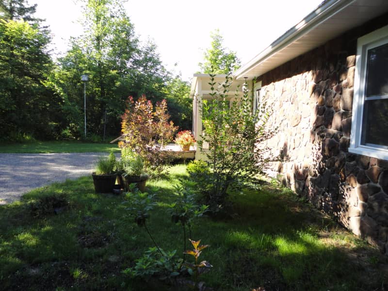 Housesitting assignment in Bobcaygeon, Ontario, Canada