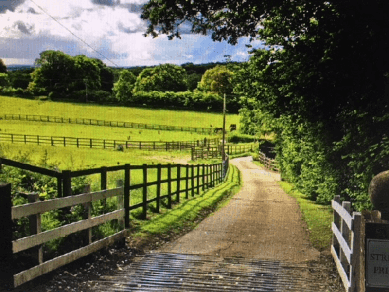 Housesitting assignment in Ewhurst, United Kingdom