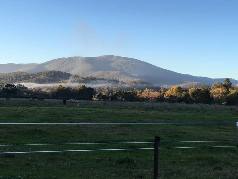 Housesitting assignment in Healesville, Victoria, Australia