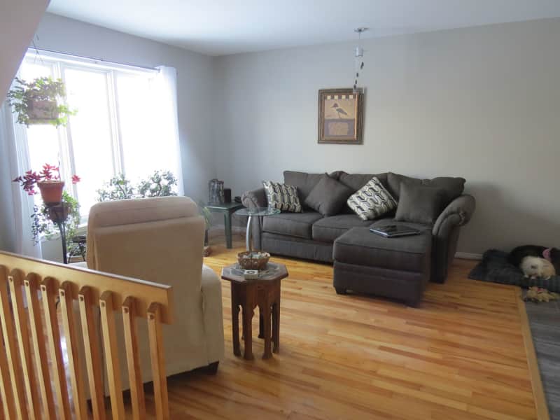Housesitting assignment in Sherbrooke, Quebec, Canada