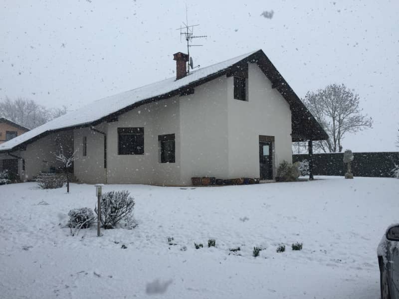 Housesitting assignment in Genève, Switzerland