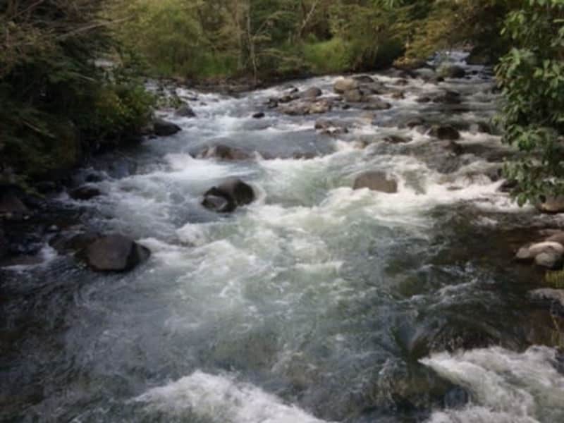Housesitting assignment in Apuela, Ecuador