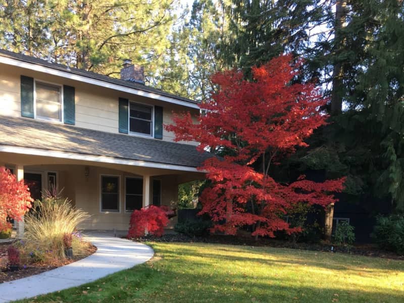 Housesitting assignment in Spokane, Washington, United States
