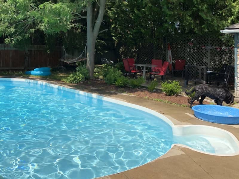 Housesitting assignment in Peterborough, Ontario, Canada