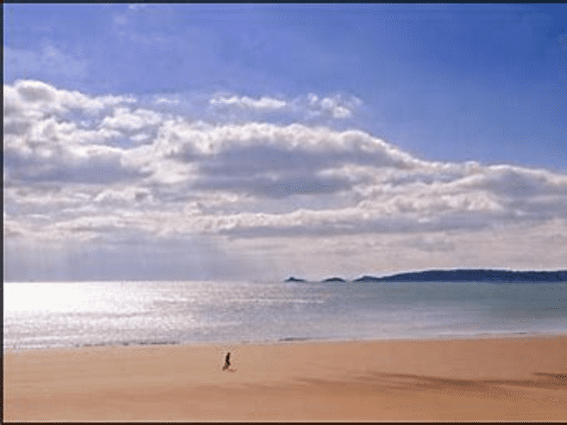 Housesitting assignment in Swansea, United Kingdom