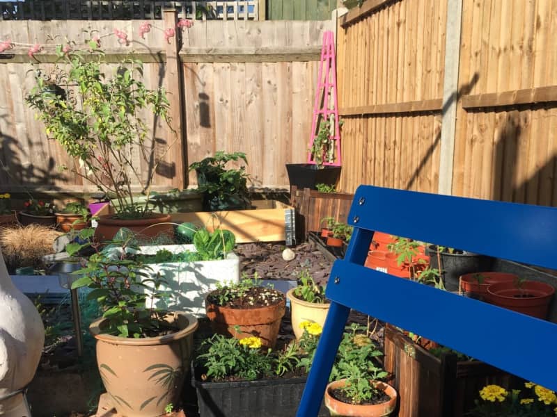 Housesitting assignment in Kempston, United Kingdom