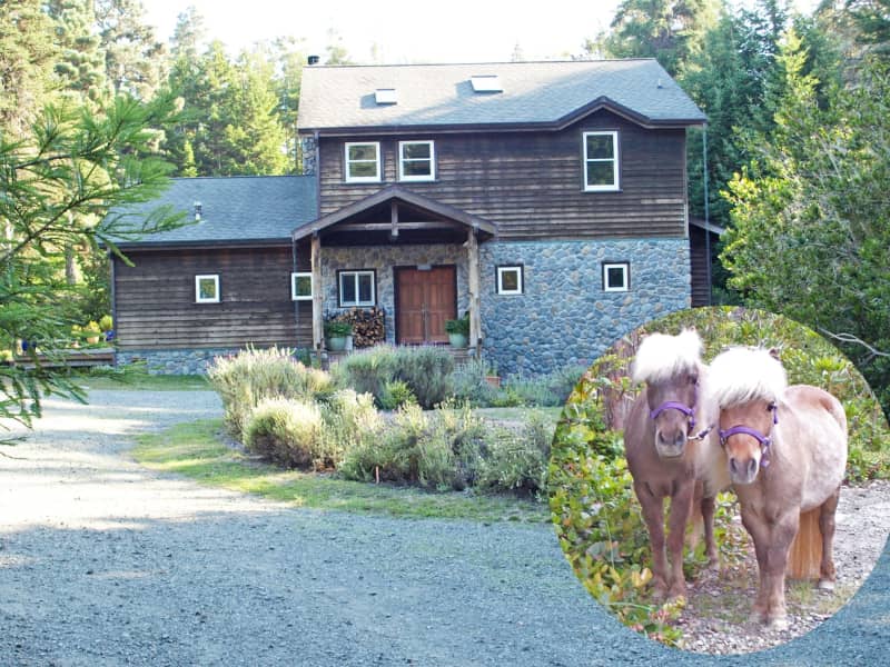 Housesitting assignment in Mendocino, California, United States