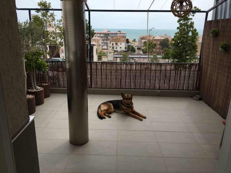 Housesitting assignment in Santa Pola, Spain