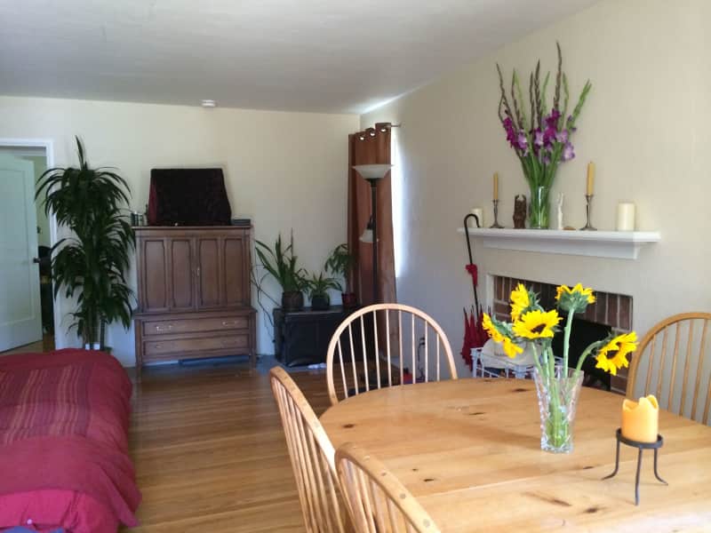 Housesitting assignment in Palo Alto, California, United States