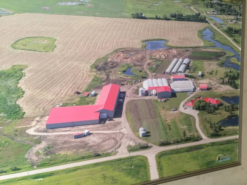 Housesitting assignment in Rocky View, Alberta, Canada