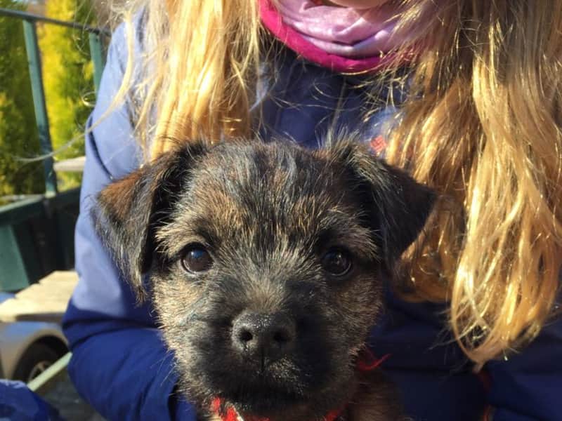 Housesitting assignment in Ditchling, United Kingdom