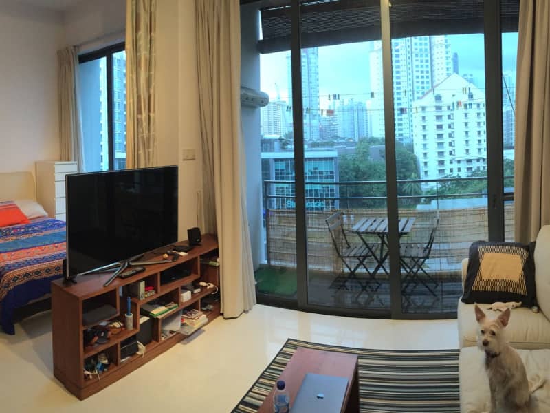 Housesitting assignment in Singapore, Singapore