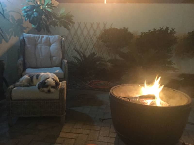 Housesitting assignment in Dubai, United Arab Emirates