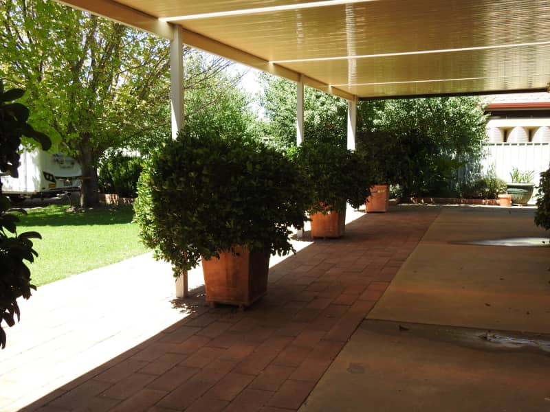 Housesitting assignment in Wagga Wagga, New South Wales, Australia