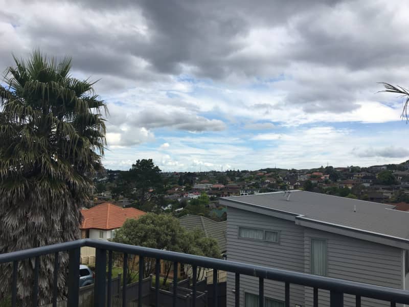 Housesitting assignment in Auckland, New Zealand