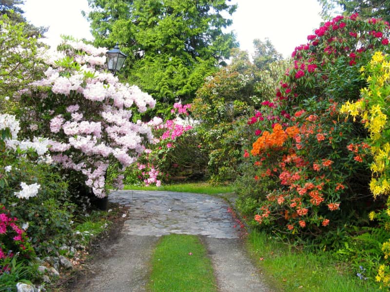 Housesitting assignment in Dunoon, United Kingdom